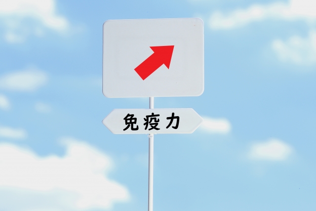 販売本数本突破 可愛い 名前旗 ラインストーン付き 名前旗 名入れ旗 雛人形 ひな人形 おしゃれ 総刺繍 可愛い 刺繍 総刺繍 名前旗 木製スタンドセット 小 Doublew